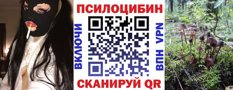 Купить  Приозерск  Псилоцибиновые грибы Magic Shrooms 
